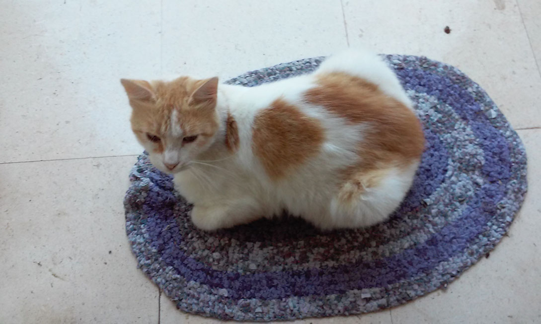 Misterij razotkriven