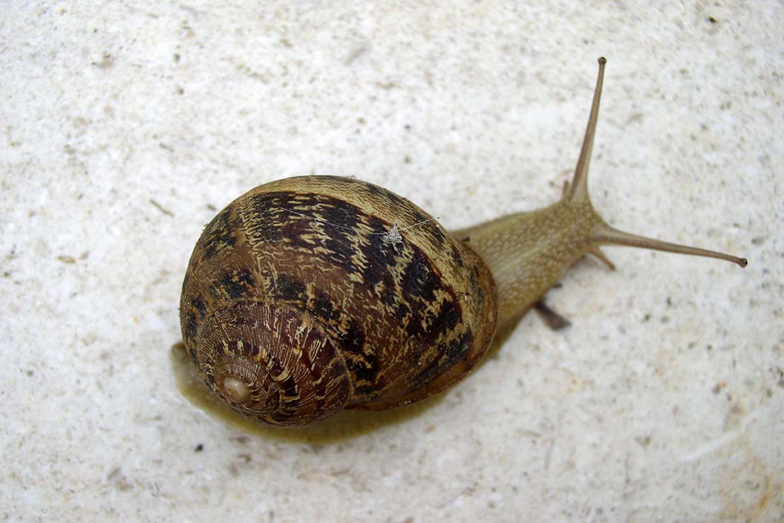 Predstava koja je osvojila srca najmlađih