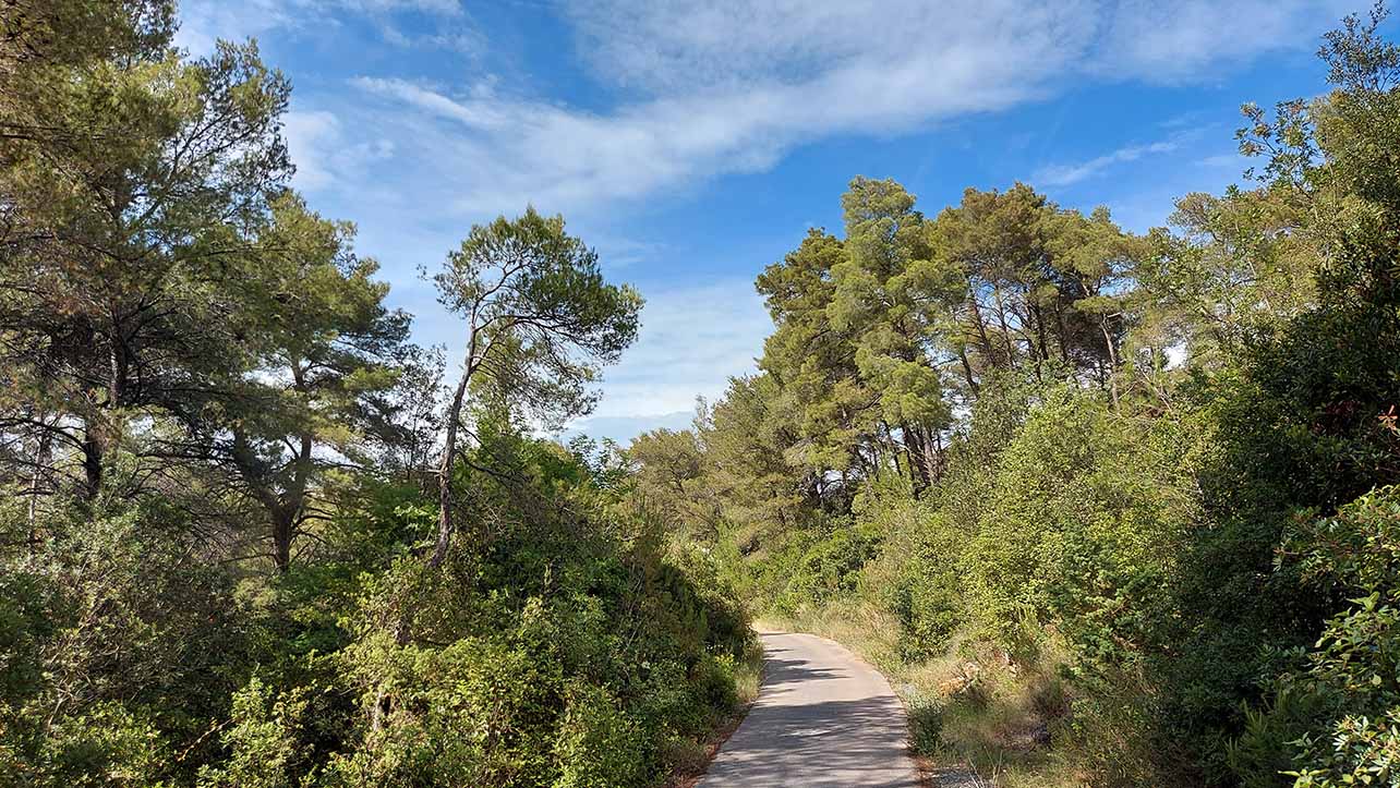 Ovo je veliki dan za našu zajednicu!